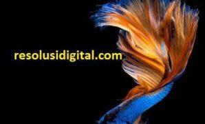 perbedaan photoshop cs5 dan cs6