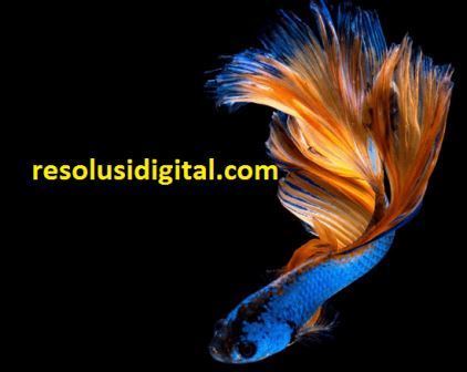 perbedaan photoshop cs5 dan cs6