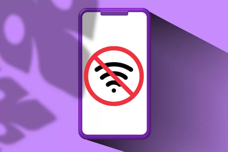 Cara Menghilangkan Internet Positif Mudah